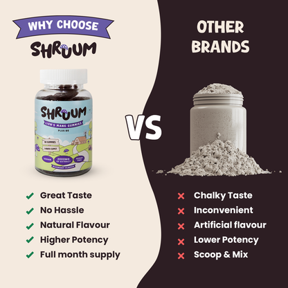 Shruum Lions Mane Gummies